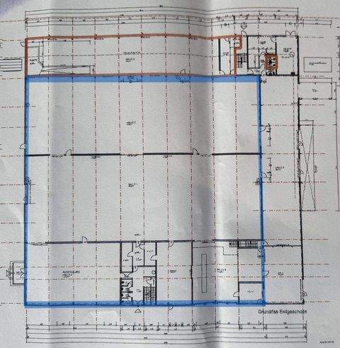 Trier Halle, Trier Hallenfläche