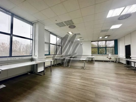 INFOS UNTER: 06171-586000