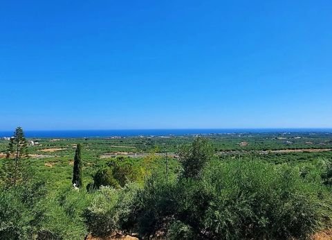 Kreta Bauernhöfe, Landwirtschaft, Kreta Forstwirtschaft