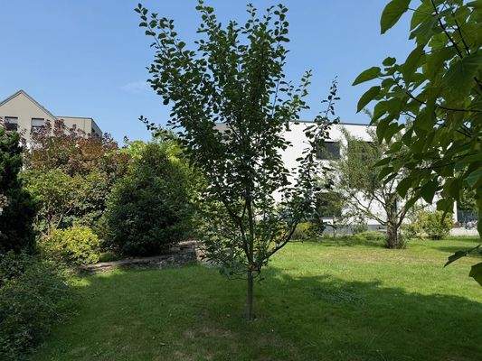 weitere Ansicht vom Grundstück