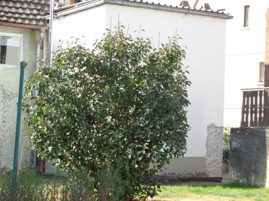 Kleiner  Garten- Grillplatz hinter dem Haus