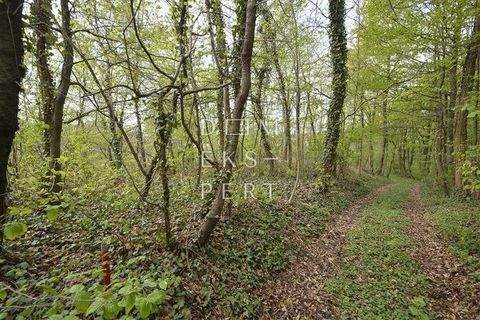 Gornja Dubrava Industrieflächen, Lagerflächen, Produktionshalle, Serviceflächen