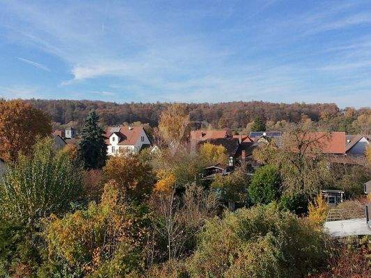 Grundstück_Luftbild