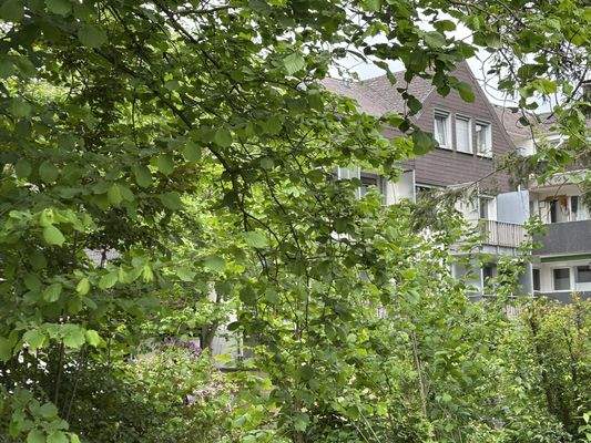 Gartenansicht im Mai