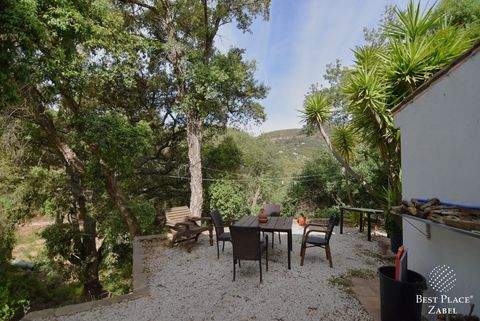 Casares Häuser, Casares Haus kaufen