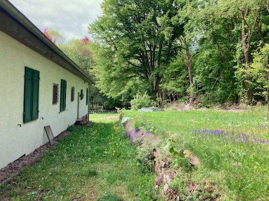 Grundstück mit Plateau Blick zum Weg 3.jpeg