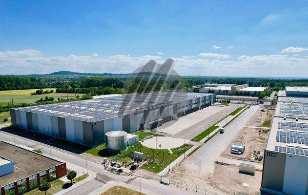 INFOS UNTER: 06171-586000