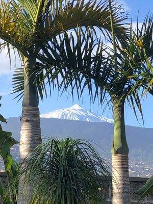 Blick auf den Teide