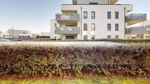 Sierentz Wohnungen, Sierentz Wohnung kaufen