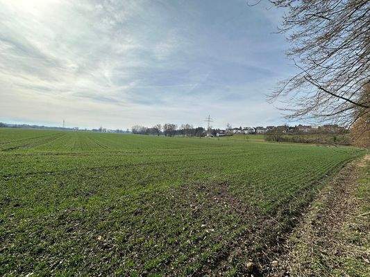 angrenzende Ackerfläche optional zu erwerben 