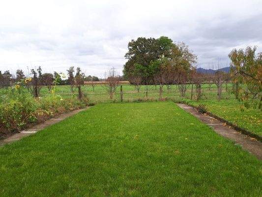 Unbebautes Grundstück