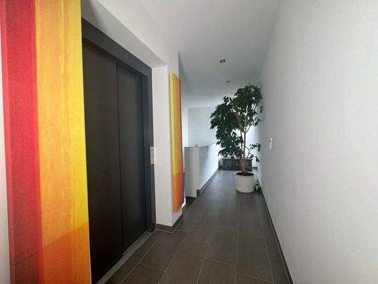Fahrstuhl ins Penthouse