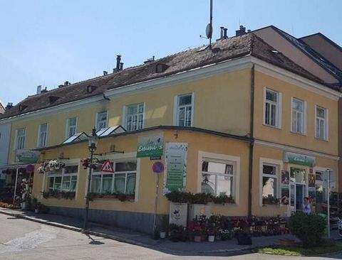 Brunn am Gebirge Häuser, Brunn am Gebirge Haus kaufen