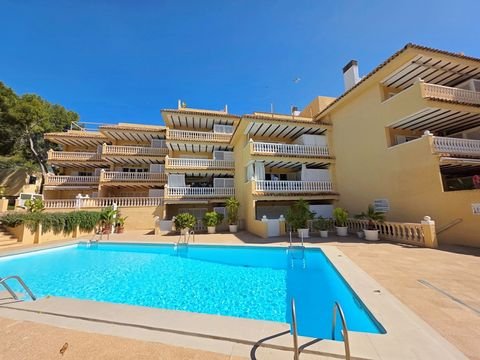 Paguera Wohnungen, Paguera Wohnung mieten