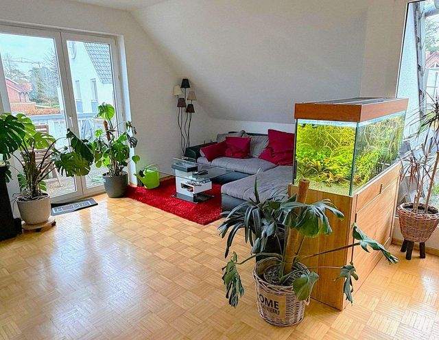 49808 Lingen (Ems), (Lingen), Deutschland - Photo 1