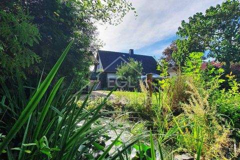 Auel Häuser, Auel Haus kaufen