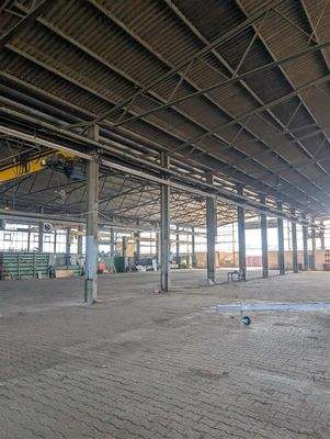 shared image (7).jpeg