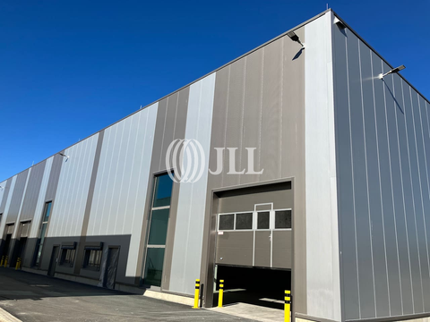 Berlin Halle, Berlin Hallenfläche