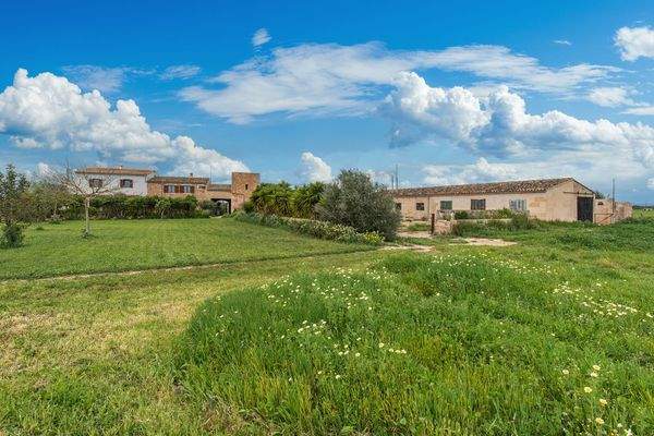 Über 30.000 qm Grundstück