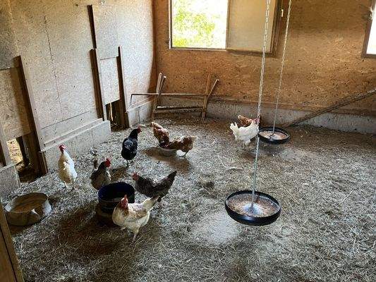 Hühnerstall