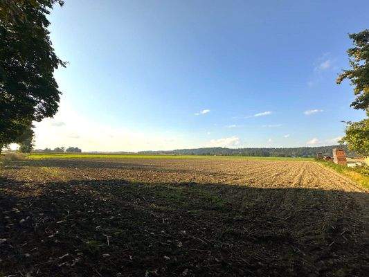 Ansicht von Süd nach Nord