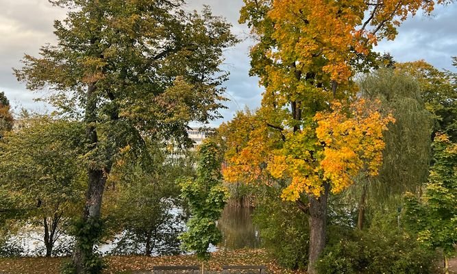 Blick zum Eisweiher