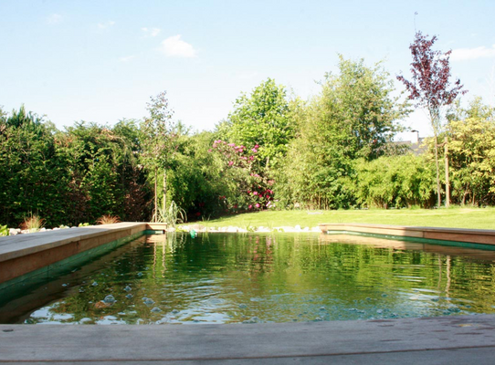 der traumhaft schöne Infinity Pool im Sommer
