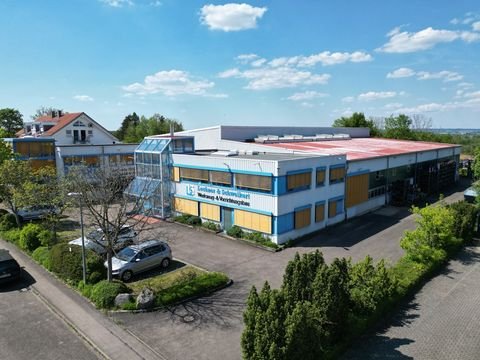 Dürnau Halle, Dürnau Hallenfläche