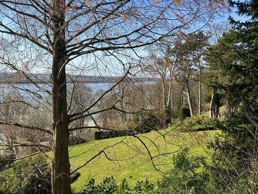 Blick aus dem Wohn- und Esszimmer