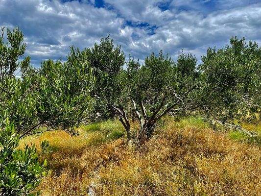 Umgebung mit Meerblick 
