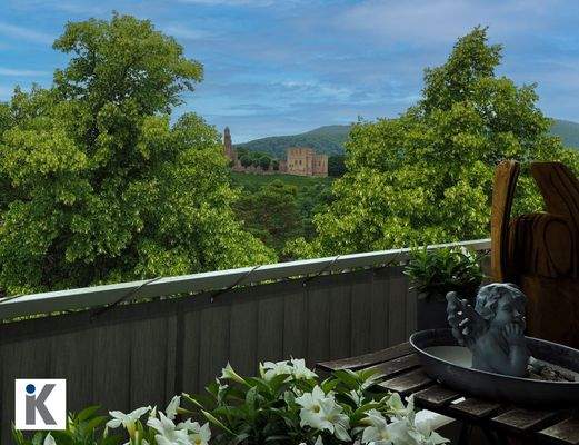 Blick auf die Limburg