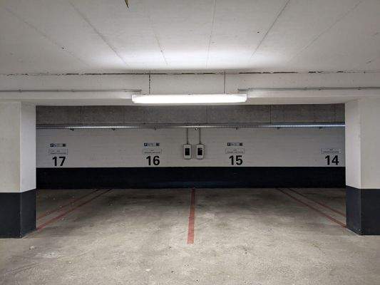 PXL_20240711_075411534