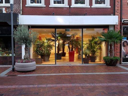 repräsentative Schaufensteranlage