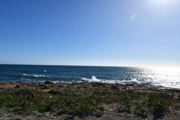 W 10100-S Wohnungen in Sa Rapita _088.JPG