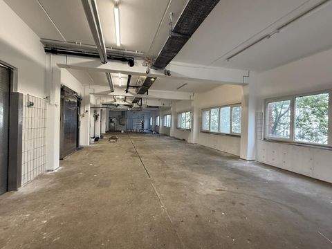 Hamburg Halle, Hamburg Hallenfläche