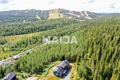 Kuusamo Häuser, Kuusamo Haus kaufen