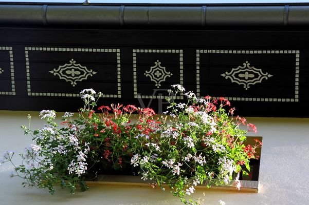 Ornamentik Dachvorsprung