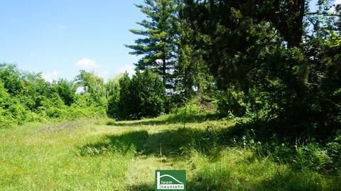 Bad Deutsch-Altenburg Grundstücke, Bad Deutsch-Altenburg Grundstück kaufen