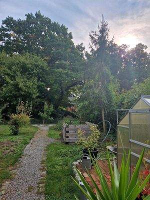 Garten mit Gewächshaus