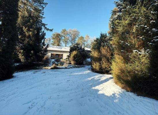 Hausansicht von Garten