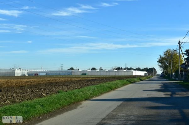 Bild 16