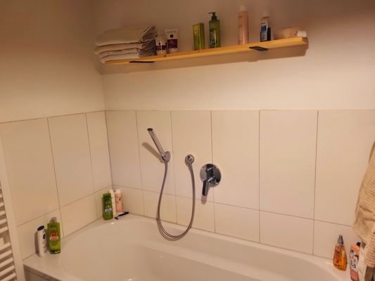 Badewanne mit Duschregal.jpg