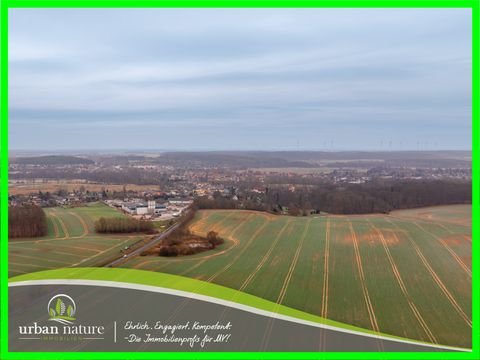 Schwaan Bauernhöfe, Landwirtschaft, Schwaan Forstwirtschaft