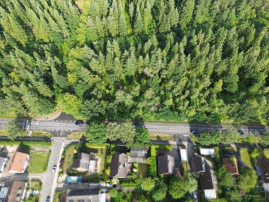 Wohntraum direkt am Waldrand