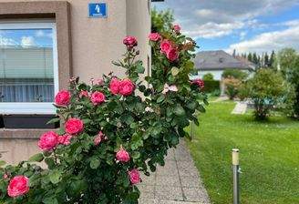 Aussenaufnahme Zugang