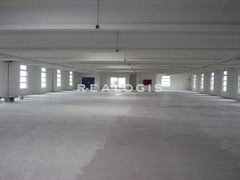 Ostfildern Halle, Ostfildern Hallenfläche