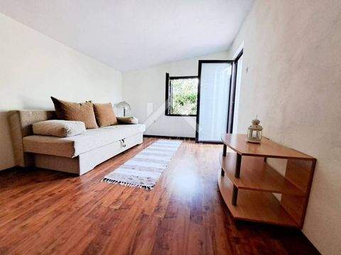 Vir Häuser, Vir Haus kaufen