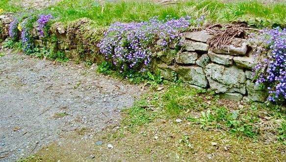 Nördlicher Weg am Haus entlang mit Natursteinmauer abgestütztes Plateau.jpeg