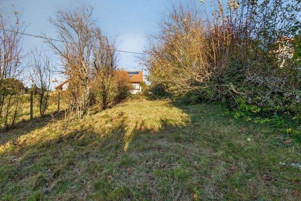 Frontansicht rechtes Grundstück