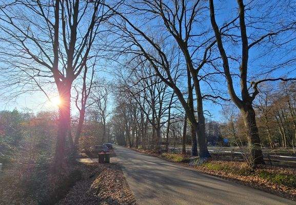 Absolut ruhige und grüne Lage